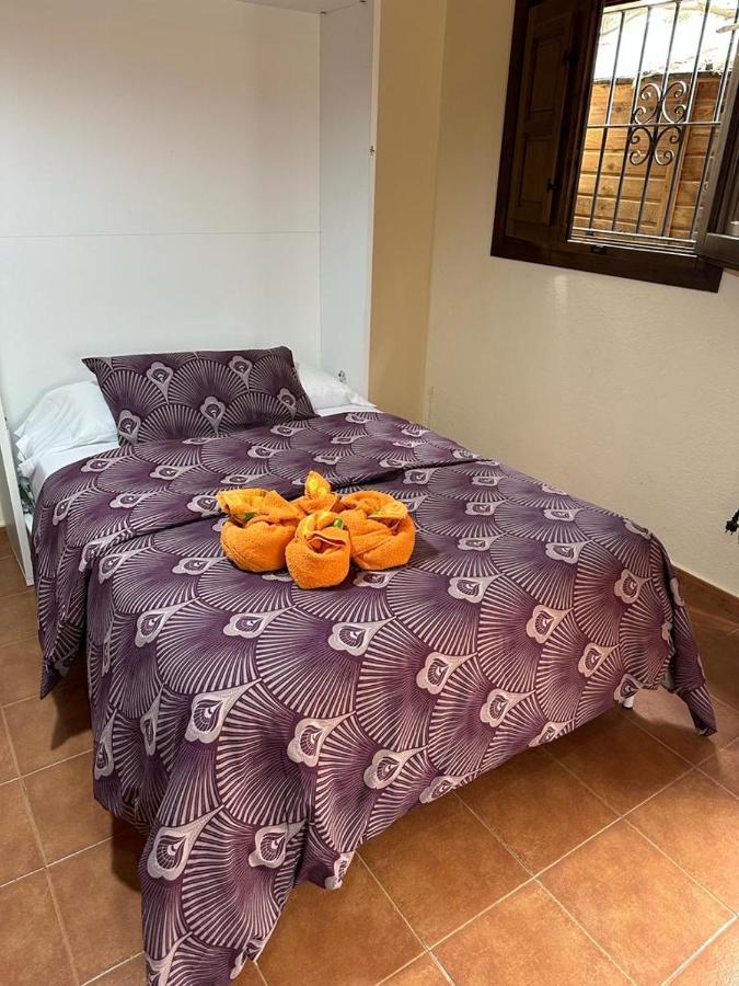 Casa El Sotillo Bajo 阿尔梅里亚 外观 照片